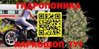 дмт Брянск