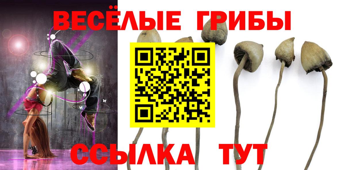 Родники  наркота  Вход с VPN  Псилоцибиновые грибы Magic Shrooms 