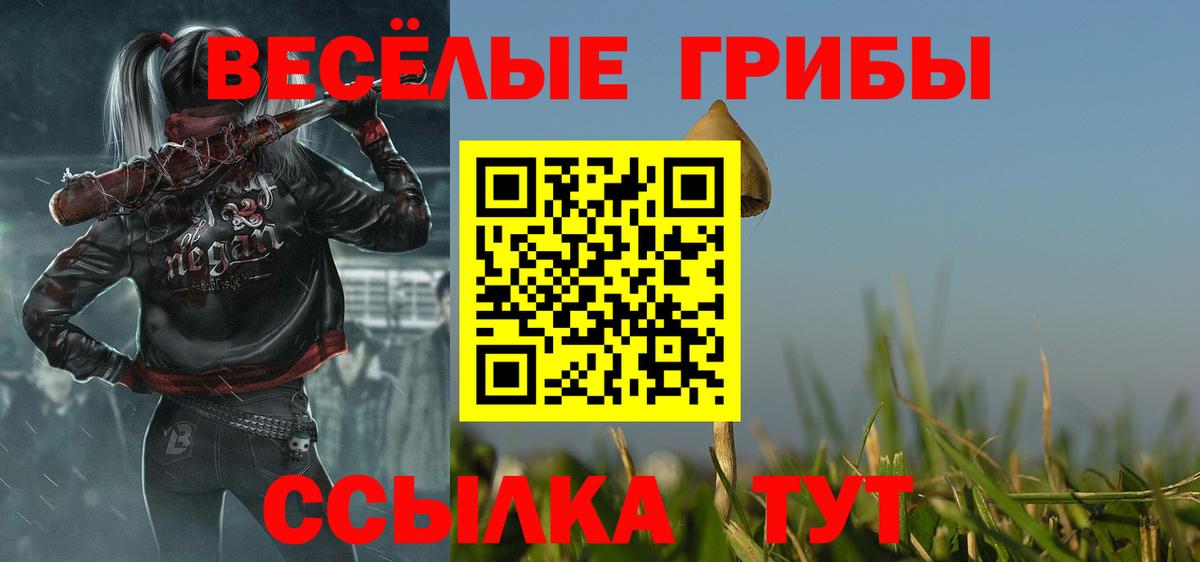 Псилоцибиновые грибы Cubensis Родники